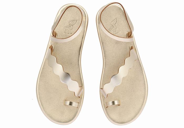 Sandales Toe-Post Ancient Greek Sandals Koralia   | ALI-9321793